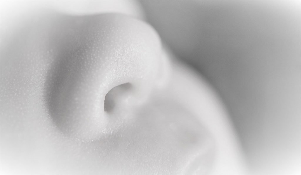 Nose Infant Newborn To Smell  - Mylene2401 / Pixabay